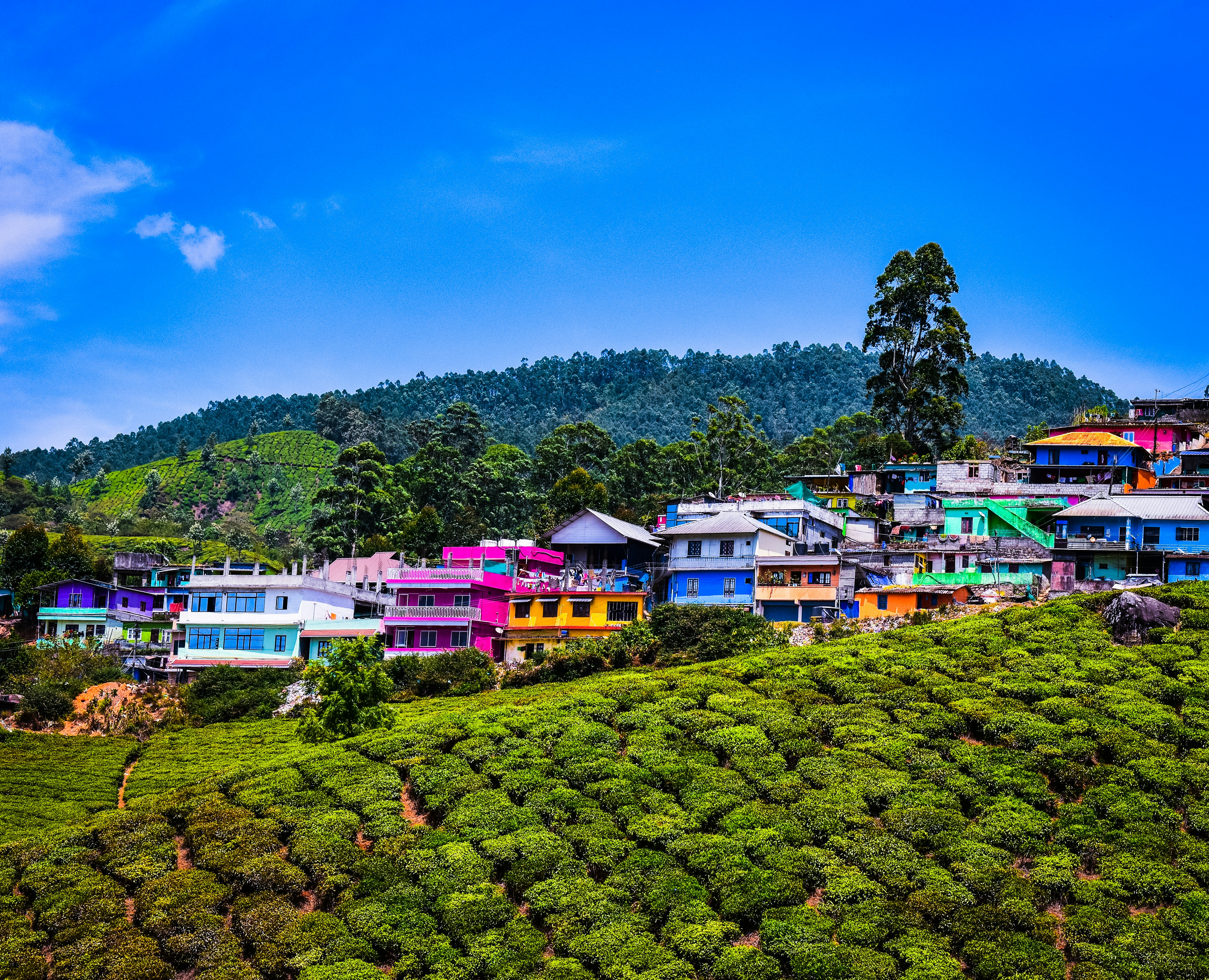 Contact Nikash Tour Planner in Munnar