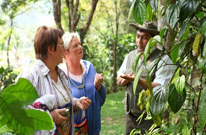 Cinnamon Gardens Spices Plantation