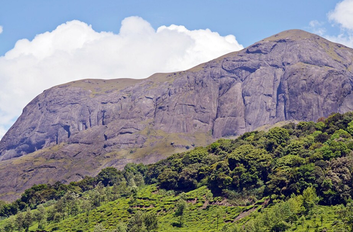 Anamudi Peak View