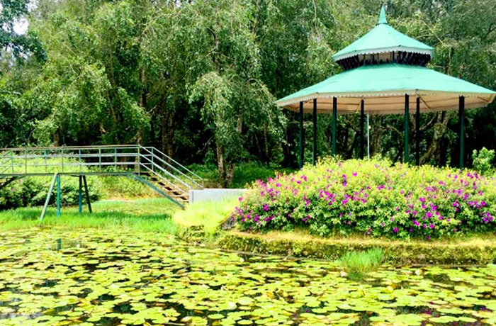 Blossom Park Munnar
